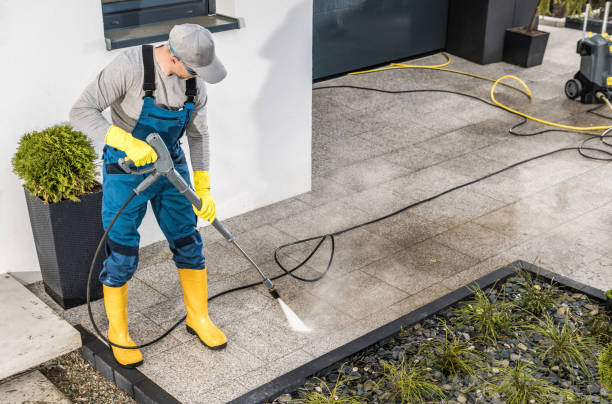 Best Pressure Washing Company Near Me  in Weidman, MI